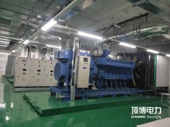 200KW玉柴柴油發(fā)電機組YC6MK350-D30主要技術參數(shù)