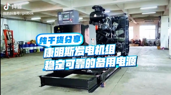 「視頻」如何應(yīng)對(duì)夏天斷電危機(jī)？640KW康明斯發(fā)電機(jī)組助您輕松應(yīng)對(duì)挑戰(zhàn) 